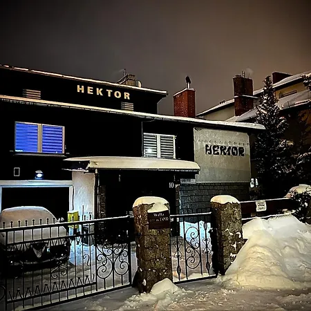 Hektor 3*
