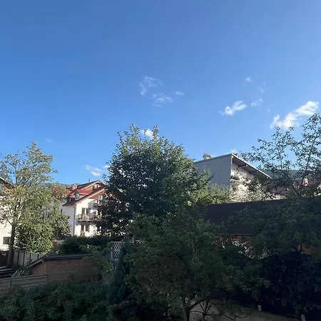 Hektor فندق مبيت وإفطار شكلارسكا بوريبا