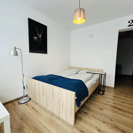 فندق مبيت وإفطار Hektor 3*