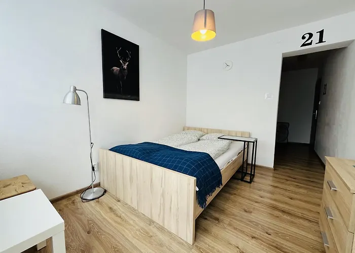 Bed & Breakfast Hektor 3*