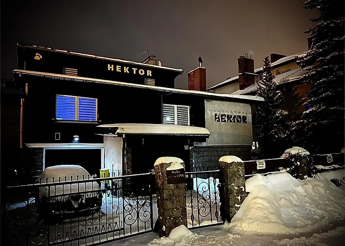Hektor 3*